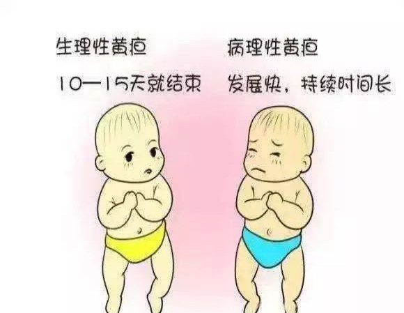 婴儿围巾织法简单好看⇋婴儿围巾织法简单好看图解
